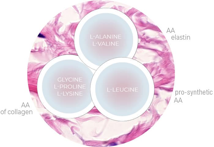 HY6AA Patented Formulation